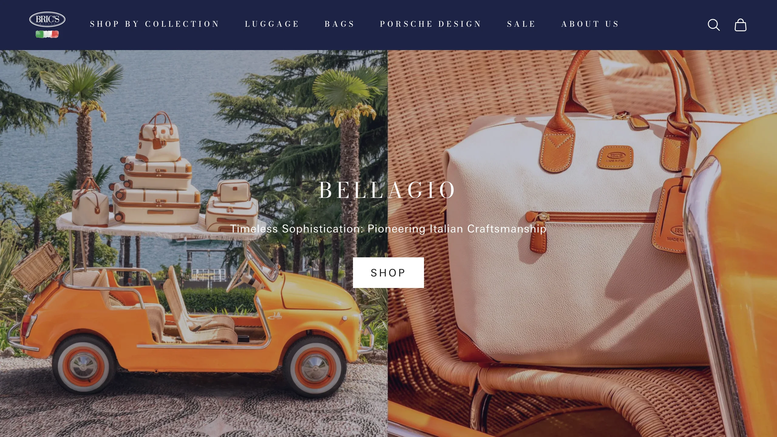 BRIC'S website image