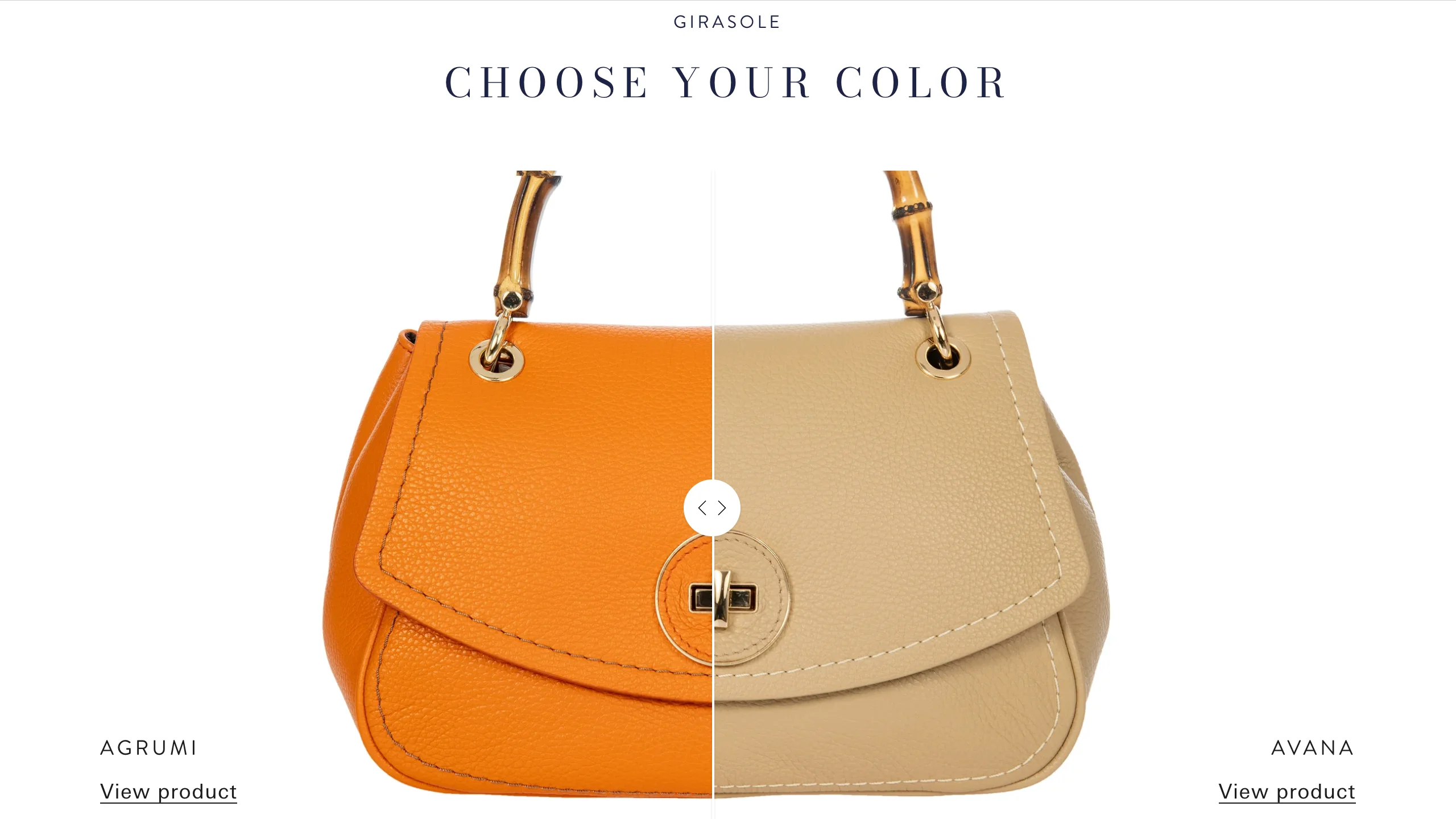 BRIC'S website image