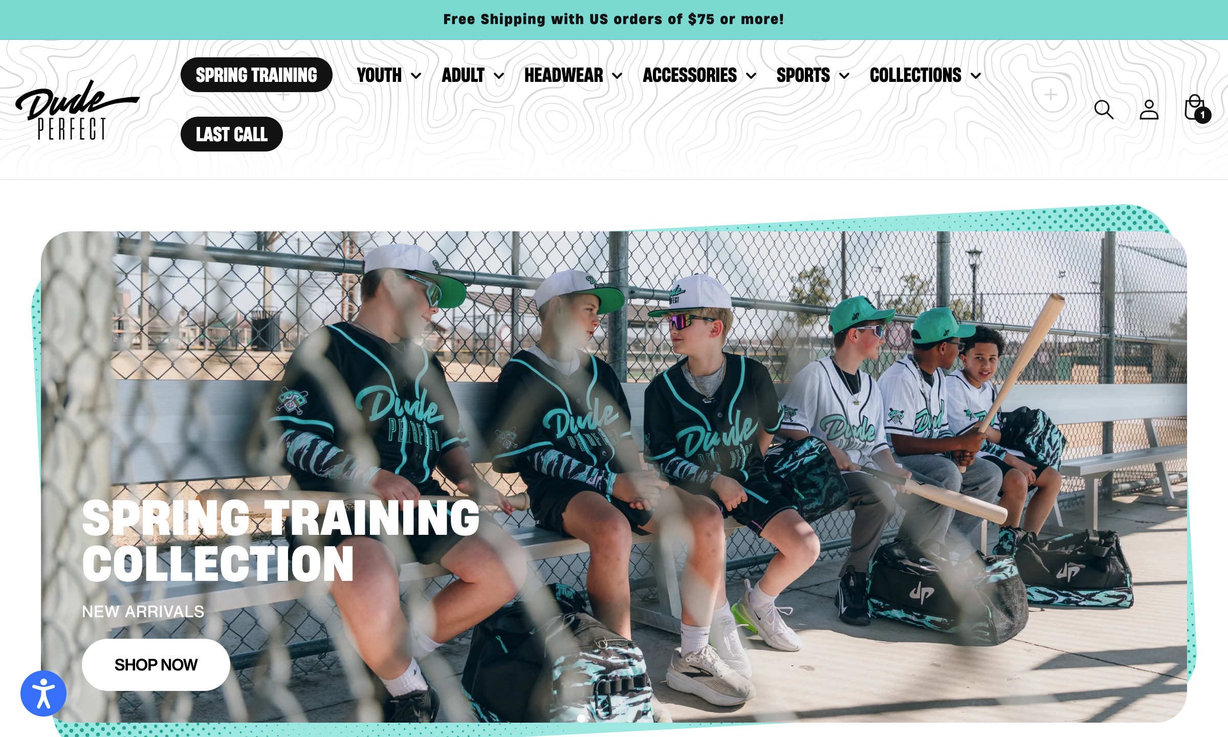 Dude perfect portfolio image