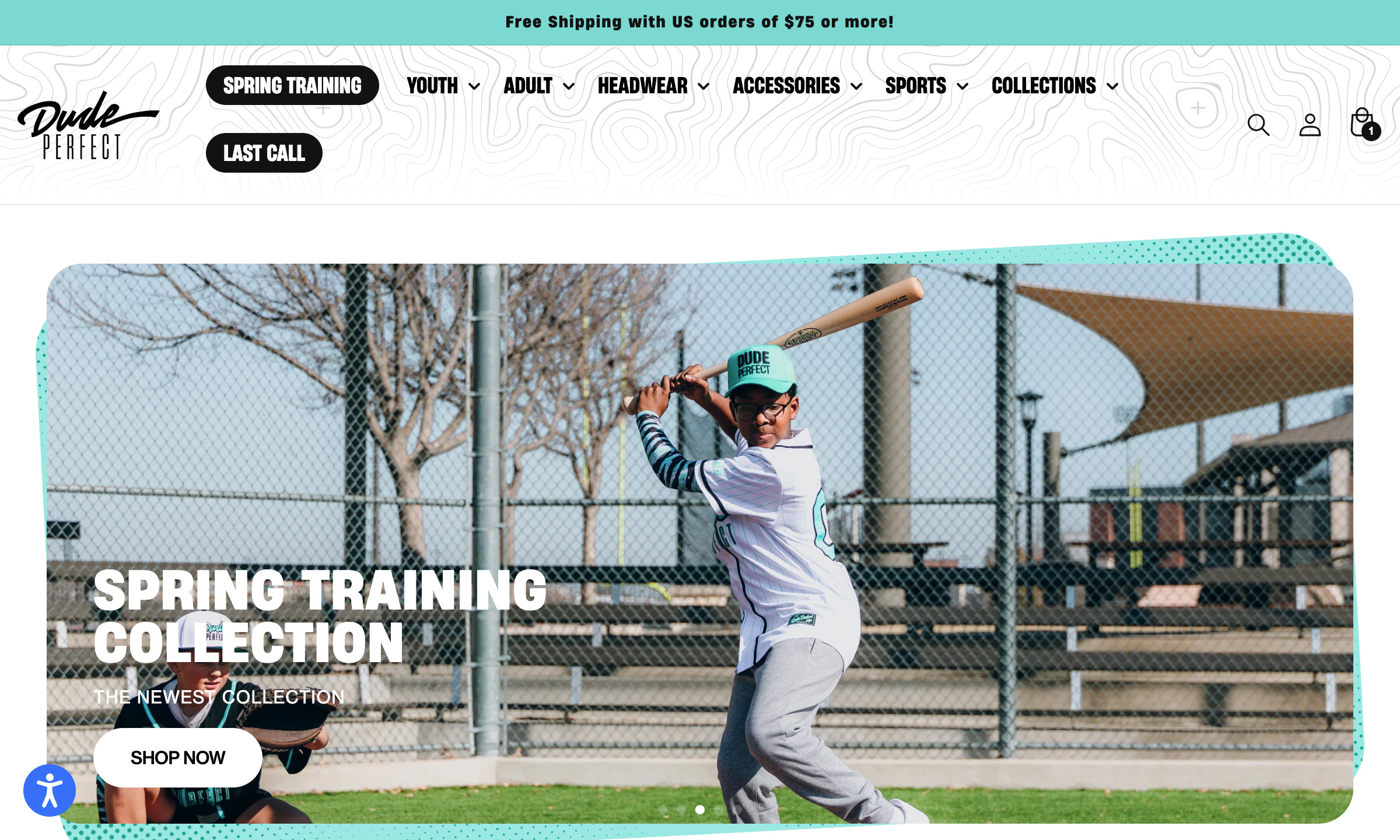 Dude perfect portfolio image