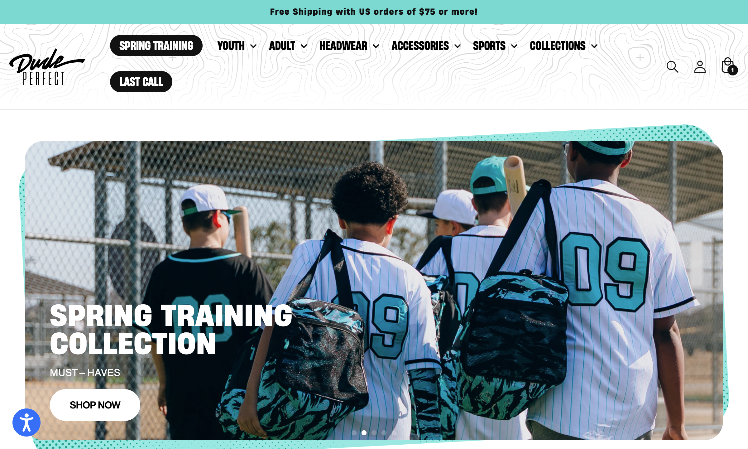 Dude perfect portfolio image